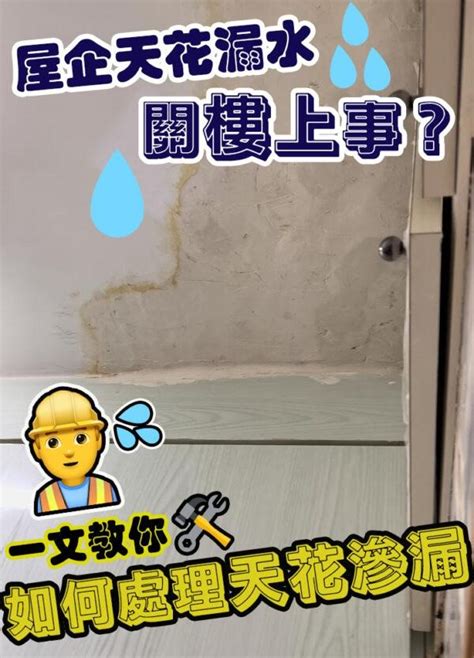 漏水測試邊間好|如何處理漏水問題？一篇弄懂漏水檢測費用與修理方法…